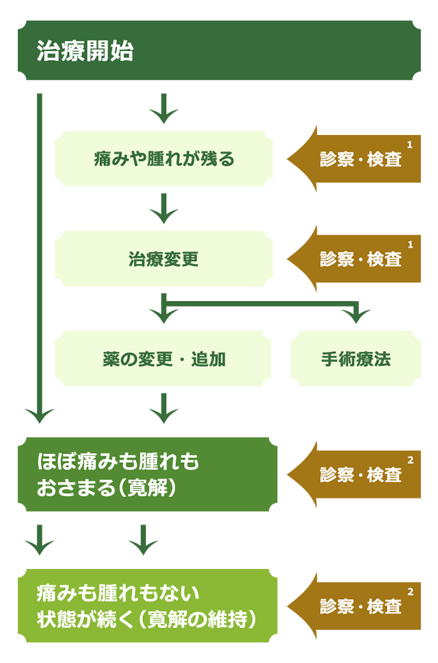 リウマチ・膠原病の合併症や諸問題を解く (リウマチ・膠原病診療